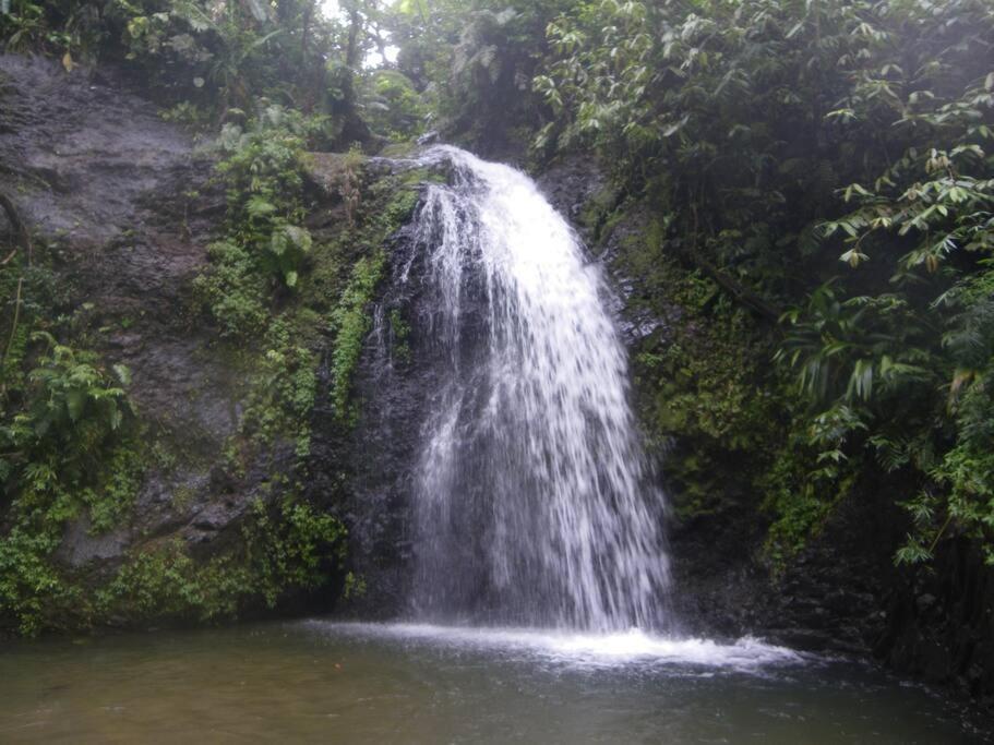 Ti' Papaye Anse A L'Ane Appartement Les Trois-Ilets Buitenkant foto