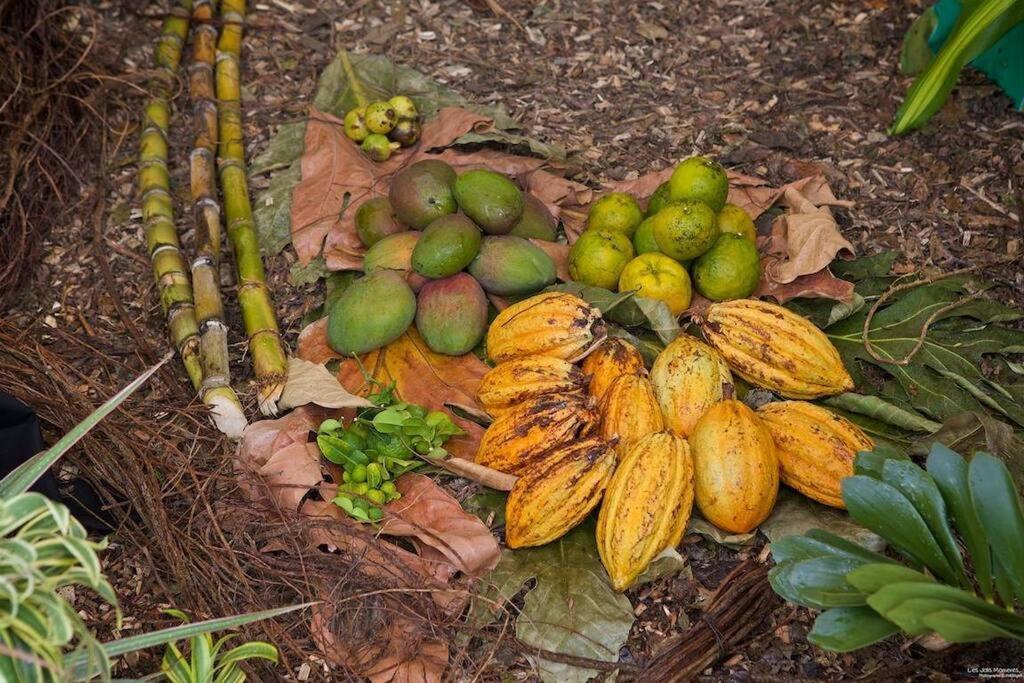 Ti' Papaye Anse A L'Ane Appartement Les Trois-Ilets Buitenkant foto